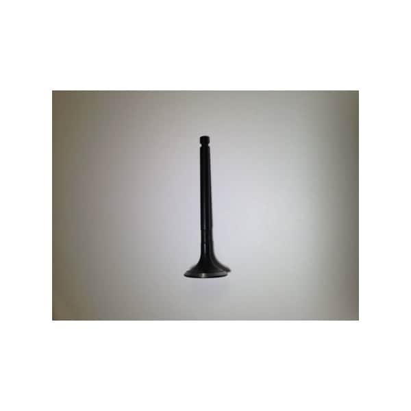 Valve Exhaust